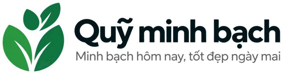 Quỹ minh bạch — Minh bạch hôm nay, tốt đẹp ngày mai